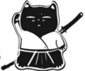 Neko Aïkiclub